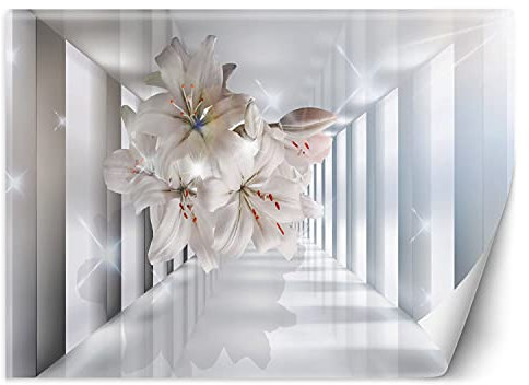 Feeby Fototapete XXL Tunnel 3D-Illusion 100x70 cm Grau Vliestapete Moderne Design Wandtapete Küche Flur Wohnzimmer Büro Badezimmer Kinderzimmer Abstrakt Konkret