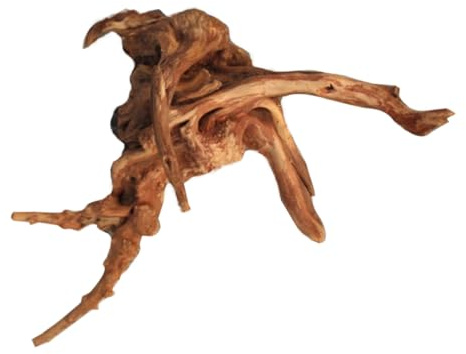 FRCOLOR Natural Wood Mini Rhododendron Tree Roots Zen Garden Ornaments for Outdoor Aquarium Decoration Assorted style