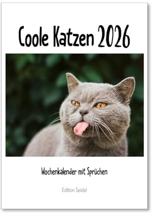 Edition Seidel Premium Kalender Coole Katzen Wochenkalender 2026 Format DIN A4 Wandkalender Katzenkalender mit lustigen Sprüchen und Zitaten Tiere Katze Kater Kitten Kätzchen