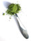 Heapwell Superfoods Stainless Steel Matcha Green Tea Measuring Spoon – 1g Precision Portion Scoop for Precise Matcha Serving
