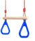 Trapèze Balançoire en Bois avec Gymnastique Anneaux Enfants Portique Toboggan Jeux Jardin Extérieur Intérieur (Bleu)
