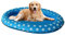 140x96cm Grand Chien de Compagnie Gonflable Chat Chat Eau Amusant Jouets Piscine Flotte Matelas Tissu Oxford Durable avec Impression Piscine pour Chien (Color : Blue)