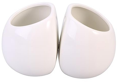 2Pièces Lot de Pots de Fleurs Muraux Suspendus Céramique Blanc pour Plantes Décoration Murale Pratique et pour Intérieur et Extérieur