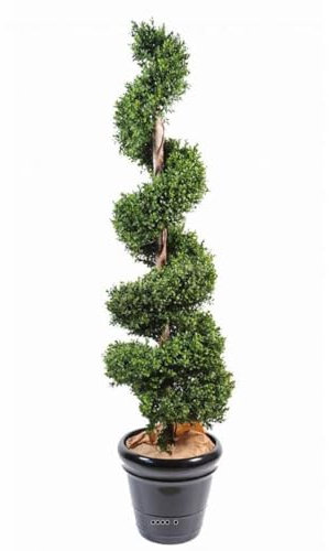 Artificielles.com Künstlicher Buchsbaum im Topf auf Stamm, Spiralform, 180 cm, Höhe 180 cm