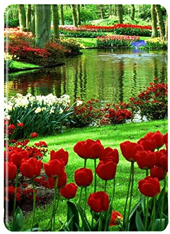 Cover Amazon Kindle 8ª Generazione 2016 Custodia Paesaggio Albero Aurora Pattern Pelle Flip Case Kindle 8 Automatici Svegliati o Sonno Magnetico Sottile Protezione Shell per Kindle Basic 2 (10)