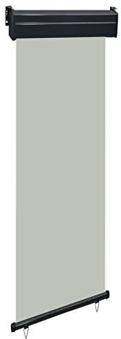 Rantry Tenda da sole laterale per balcone, tenda a rullo verticale per esterni, protezione solare, protezione dal vento, 65 x 250 cm, grigio