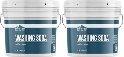 Earthborn Elements Washing Soda (1 Gallon), Soda Ash, Sodium Carbonate, Non-Toxic Laundry Booster (Pack of 2)