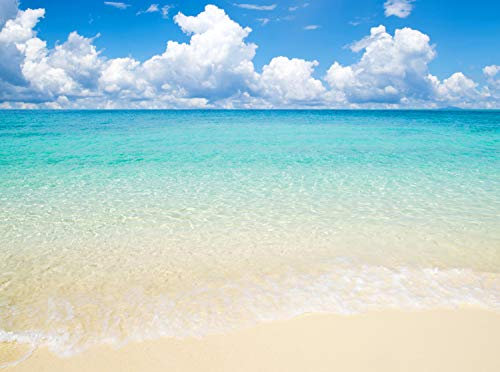 wandmotiv24 Fototapete Sonne, Meer und Strand Größe: 350 x 260 cm Wandbild, Motivtapete, Vliestapete KTk479