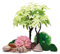 biOrb 55029 Decor Set 30L Sommer - Aquariendekoration mit realistischen künstlichen Wasserpflanzen, Wurzeln und Steinen | für Süßwasser und Meerwasser
