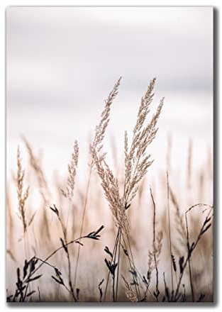 Leinwandbild Grasses I 70 x 100 cm | Bild auf Leinwand im Hochformat in sanften monochromen Farben | Gras Feld Wiese Natur Blumen Trockenblumen | Wohnzimmer Schlafzimmer Flur | Deko Home Einrichtung
