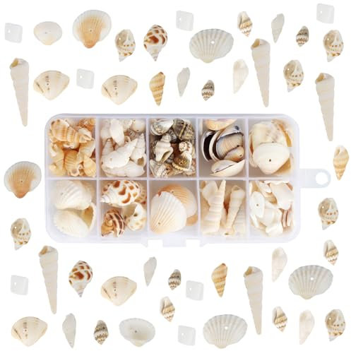 Muscheln Deko,150 Stück+ Gemischte Muscheln, Conch, Natürliche Muscheln Zum Basteln mit Loch für Strand-Mottopartys, Hochzeitsdekorationen, DIY Muschelkette, Kerzenherstellung, Aquarium, Vasenfüller