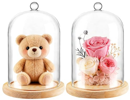 LDHHYH 2 Pièces Cloche en Verre 12 x 18 cm avec Socle Bois, Dôme Transparent avec Poignée pour Décoration, Bijoux, Fleurs Séchées et Objets de Collection