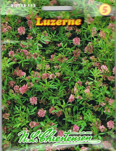 Chrestensen Luzerne ,liefert hochwertiges, nährstoffreiches Futter, mehrjährig, Gründüngung