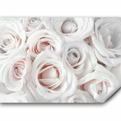 murando - Vlies Fototapete Blumen Rose 350x256cm- Foto Tapete Schlafzimmer Wohnzimmer Vliestapete XXL Wandtapete Motivtapeten Bildtapete 3d Effekt Wand Dekoration - rosa beige weiß b-B-0406-a-c