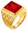 PAMTIER Herren 18K Gold Überzogen Fett Gedruckt Edelstahl Ringe mit Rot Stein Größe 54 (17.2)