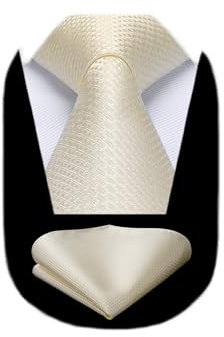 HISDERN Krawatten für Herren Champagner Klassisch Hochzeit Schlips rawatte Elegant Formelle Krawatte mit Einstecktuch Set Business Party