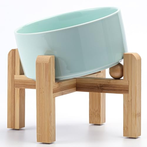 Petygooing Elevated/Raised 15°Slanted Ceramic Dog Bowl for Small and Medium Breeds, Tilted Anti Slip Pet Bowl,Food Water Dish with Stand for Cats and Dogs (28 OZ/3.6 Cups) Blue Sky