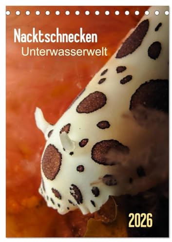 Nacktschnecken - Unterwasserwelt 2026 (Tischkalender 2026 DIN A5 hoch), CALVENDO Monatskalender: Bunte Knallfarbe und möglichst auffällig - so scheint ... zu heißen. (CALVENDO Tiere)
