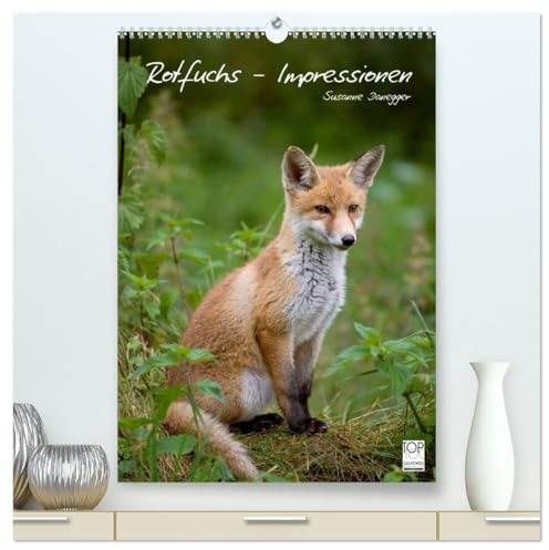 Rotfuchs - Impressionen (hochwertiger Premium Wandkalender 2026 DIN A2 hoch), Kunstdruck in Hochglanz: Bilder aus dem Leben der Füchse. (CALVENDO Tiere)