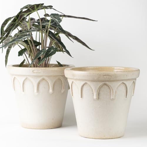Nipots 2 Pack Terracotta Clay Plant Pots with Drainage, Breathable Water-Absorbing Planters for Healthy Roots, 8 Inch Deep Flower Pots for Gardening, Indoor and Outdoor, Glazed Ivory