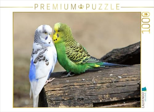 CALVENDO Puzzle Wellensittiche | 1000 Teile Lege-Größe 64 x 48 cm Foto-Puzzle für glückliche Stunden