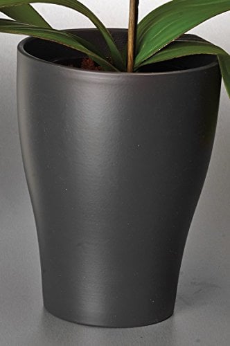 Scheurich 608 Orchideen-Topf, Durchmesser 17 cm, Anthrazit