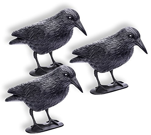 Schramm® 3 Stück Sitzende Krähen schwarz Taubenschreck Vogelschreck Kunststoff Rabe Taubenabwehr Vogelabwehr 3er Set Vogelscheuche