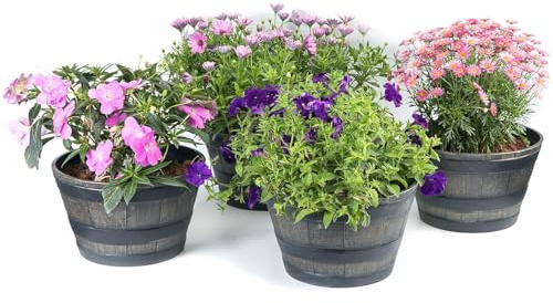 Faboer Pack of 4 x Half Barrel Flower Planter Pot Wooden Oak Effect Outdoor Decoration Home Garden