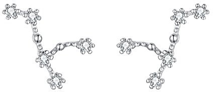 ClearineDamen Ohrringe Sternzeichen 925 Sterling Silber CZ Löwe Horoskop Tierkreis 12 Konstellation Ohrstecker Stud