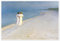 Sommerabend am Skagener Südstrand Poster von Peder Severin Krøyer 100 x 70 cm Wandbilder Wanddeko
