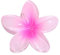 Floreali Mollettone Capelli Grande,Mollette Capelli Donna Grande,Fermagli per Capelli,Hawaiana forma di tropicale,fermaglio capelli donna,Clip colori sfumati