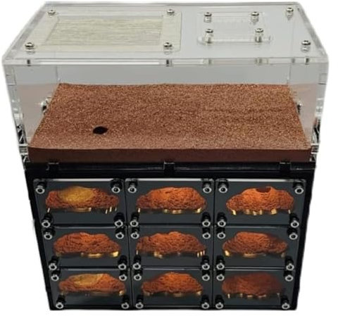 Natürliche Ameisenfarm, Ameisenfarm, Ameisenhaus, Ameisennest, klassische Ameisenburg, Ameisennest aus Beton, schwarzes Lochnest, Ameisenfarm, Ameisennestfarm mit USB-Ladekabel, Ameisenfarm for Ameise