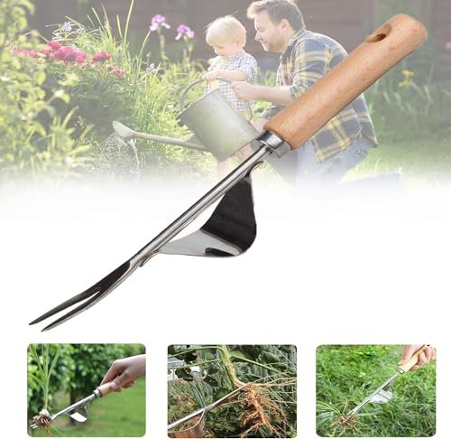 2025 Nouveau Jardinière Manuelle, Désherbeur Manuel Outil Gouge de Désherbage en Acier Inoxydable avec poignée Bois Pelle Jardinage Arrache Pissenlit (1pcs)