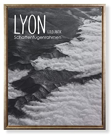 BIRAPA Lyon Keilrahmen für Canvas 20x50 cm in Gold Antik, Rahmen für Leinwände, Leerrahmen für Leinwand, Schattenfugenrahmen für Keilrahmen, Leinwand Rahmen