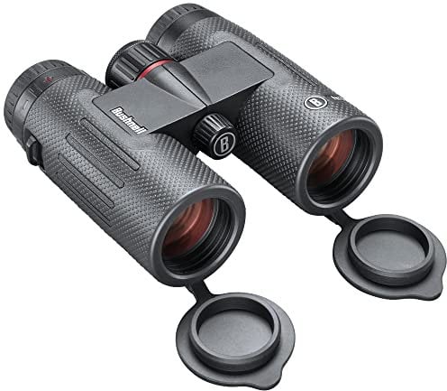 Bushnell Bn1036b Nitro-Fernglas, 10 x 36 mm, schwarzes Dach, Multi, Einheitsgröße
