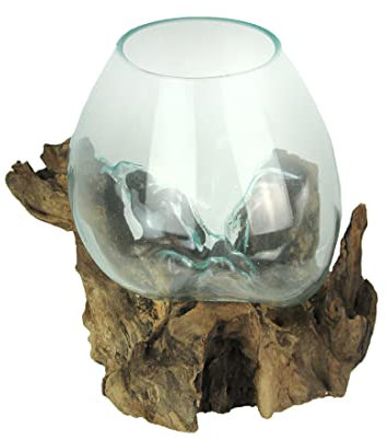 Things2Die4 Large Molten Glass Sculptural Bowl/Plant Terrarium On Natural Driftwood Base, Brown, 10 Inch