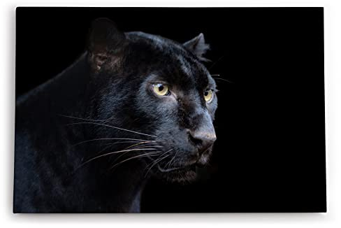 Paul Sinus Wandbild 60x40cm Dekorative Kunst Schwarzen Panther Schwarz Raubkatze Leopard Jaguar