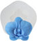 QDMOLDS Silikonform für Orchideen, Blumen, Fondant, Kuchendekoration, Cupcake-Topper, Schokolade, Süßigkeiten, Zucker, Modelliermasse, Gummipaste