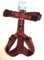 Petlando Hundebrustgeschirr Mesh Y-Comfort Bordeaux L (Halsumfang 46-80 cm, Brustumfang 56-82 cm)
