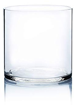 WGV Zylindervase, offene Breite 17,8 cm, Höhe 17,8 cm, klare breite Glaswaren, Blumenbehälter, Pflanzgefäß, Terrarium für Hochzeit, Party, Event, Home Office Decor, 1 Stück