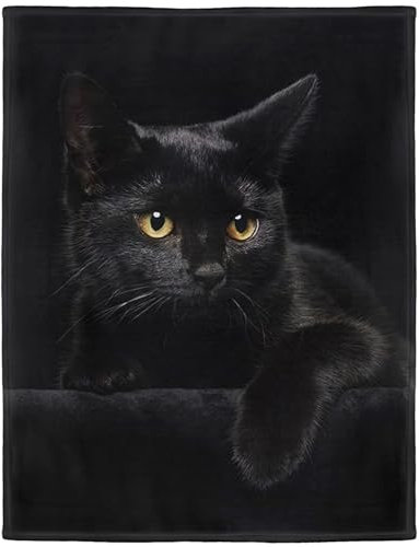 YISUMEI Decke 100x150 cm Kuscheldecken Sanft Flanell Weich Fleecedecke Bettüberwurf Schwarze Katze