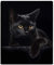 YISUMEI Decke 100x150 cm Kuscheldecken Sanft Flanell Weich Fleecedecke Bettüberwurf Schwarze Katze