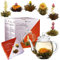 Creano - Mix de Fleurs - Coffret cadeau- « Floraison » -Avec Théière en Verre | 6 Sortes de Thé blanc et de Thé noir