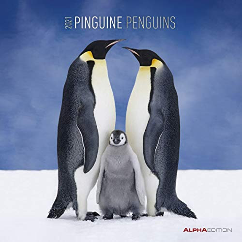 Pinguine 2021 - Broschürenkalender 30x30 cm (30x60 geöffnet) - Penguins - Bild-Kalender - Wandplaner - mit Platz für Notizen - Alpha Edition: Broschürenkalender - Wandplaner - mit Platz für Notizen