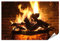 islandburner XXL Bild Poster Kamin Premium Bilder Fotodruck HRIJ-PKL