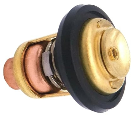 Termostato Di Raffreddamento Termostato Termostato per motore di barca 6E5-12411-10,6E5124111 Adatto per Yamaha Adatto per fuoribordo Suzuki 15 25 30 40HP 220HP