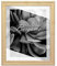 BIRAPA Bergamo Bilderrahmen vintage Holz- Optik - Bilder Rahmen 50x70 cm - Fotorahmen Glas antireflex Plexiglasscheibe - Wanddeko Fotowand Fotogeschenke