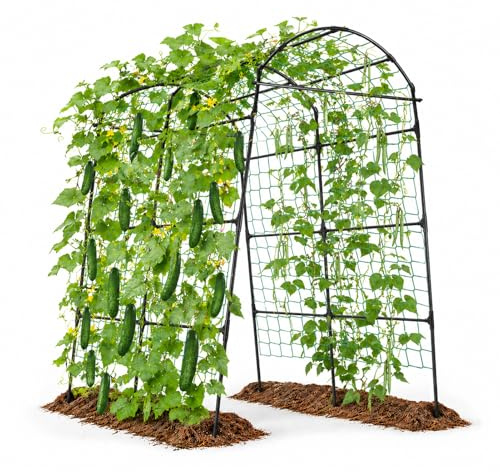 Yotoworth Rankgitter für Kletterpflanzen, Metall,180 x 230 cm Schwarz | Gurken Rankhilfe, Garten Spalier, Pflanzenspalier für Tomaten, Gemüse Blumen Kletterpflanzen