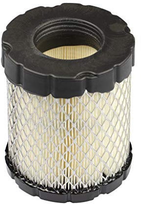 Briggs & Stratton 798897 Filtre à air, Noir