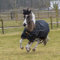 Bucas Irish Turnout Light 50g Classic 1200D - Pony - Black/Gold, Größe:85